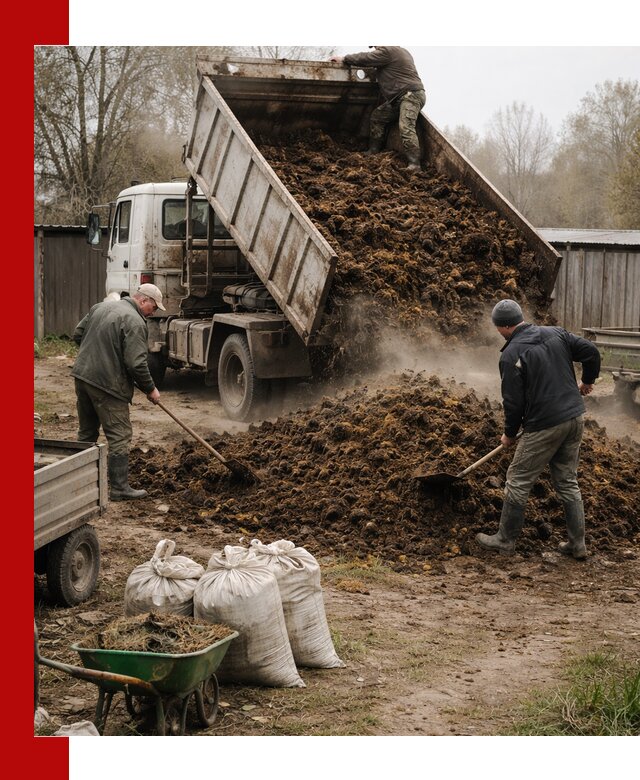 Доставка коровьего навоза самосвалом в Ртищеве